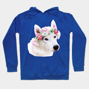 Dog Hoodie